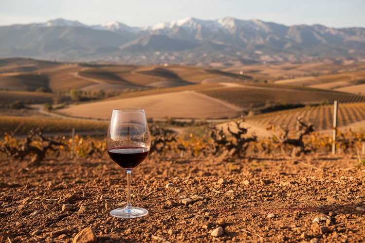Tempranillo