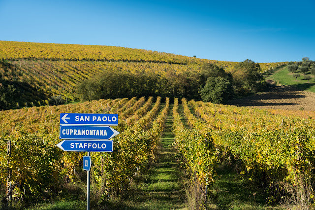 Marche & Abruzzo