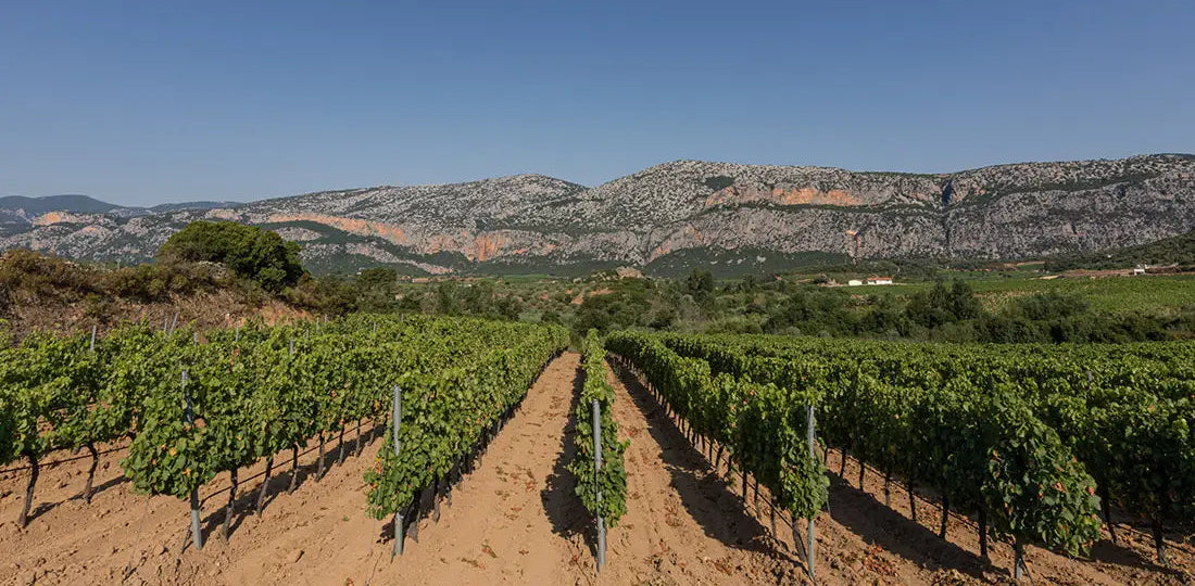 Sardinia
