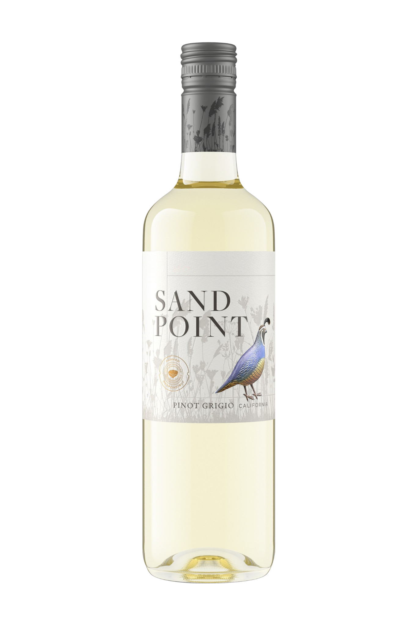 Sand Point Pinot Grigio 2022 | The Wine Club