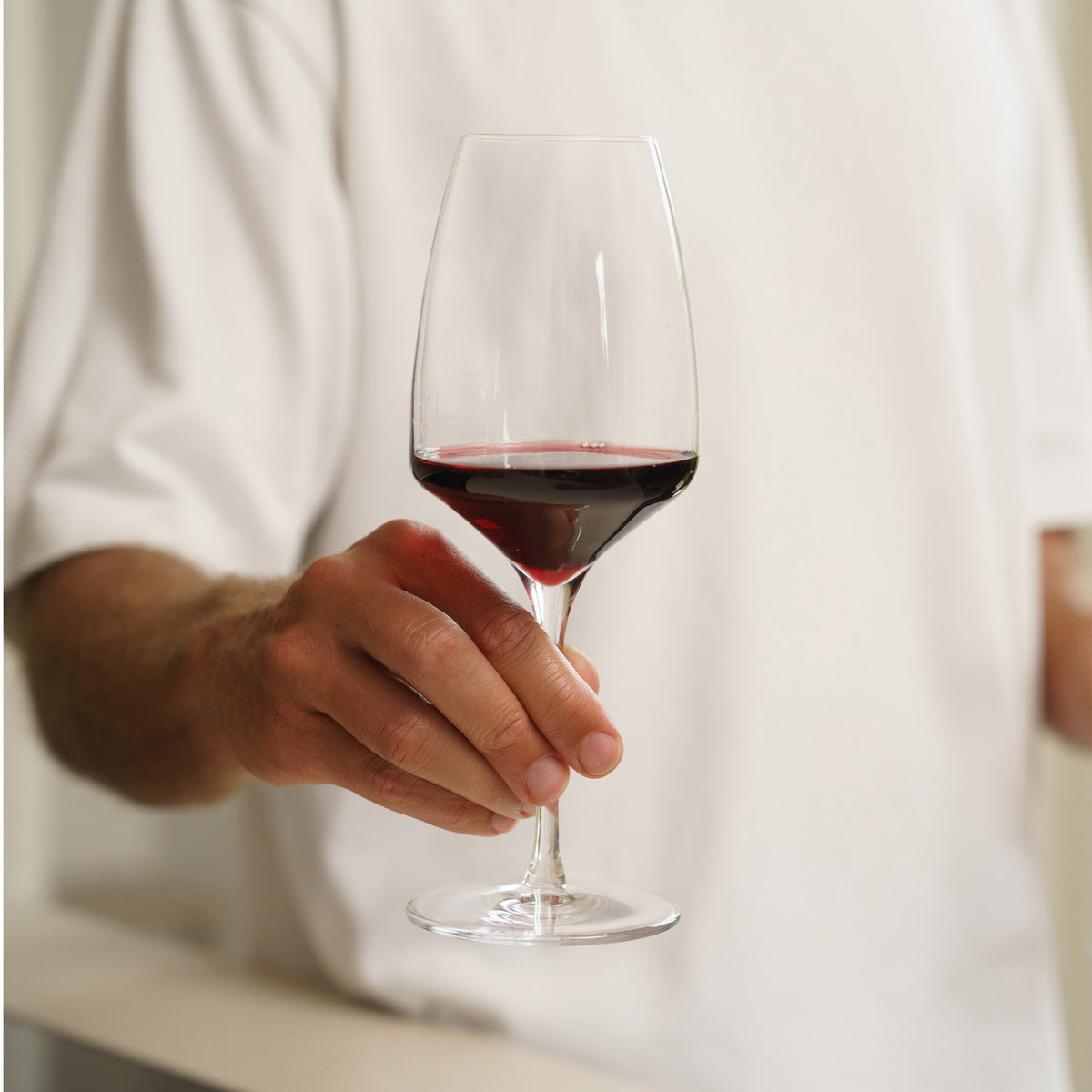 Stölzle Lausitz Red Wine Experience -person holding glass with wine