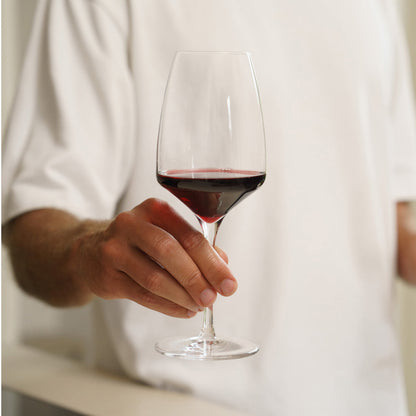 Stölzle Lausitz Red Wine Experience -person holding glass with wine